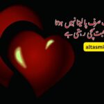 Heart Broken Quotes in Urdu