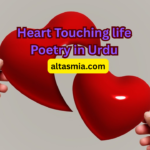 Heart Touching life Poetry in Urdu