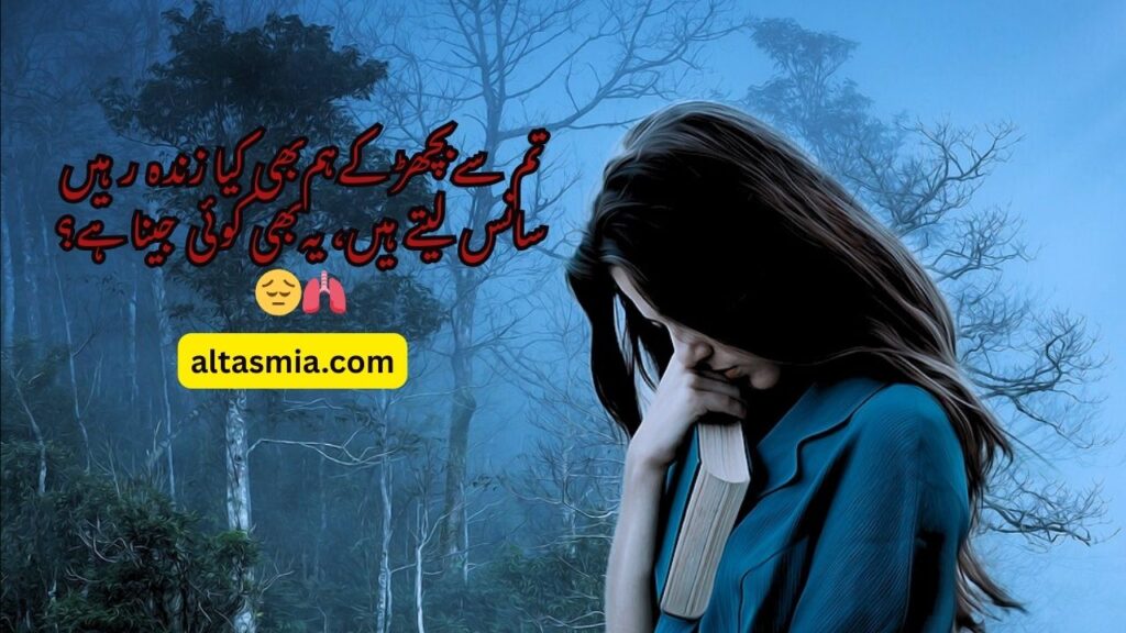 Meer Taqi Meer Sad Poetry in Urdu