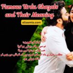 Famous Urdu Ghazals and Their Meaning