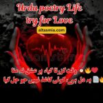 Urdu poetry Life try for Love